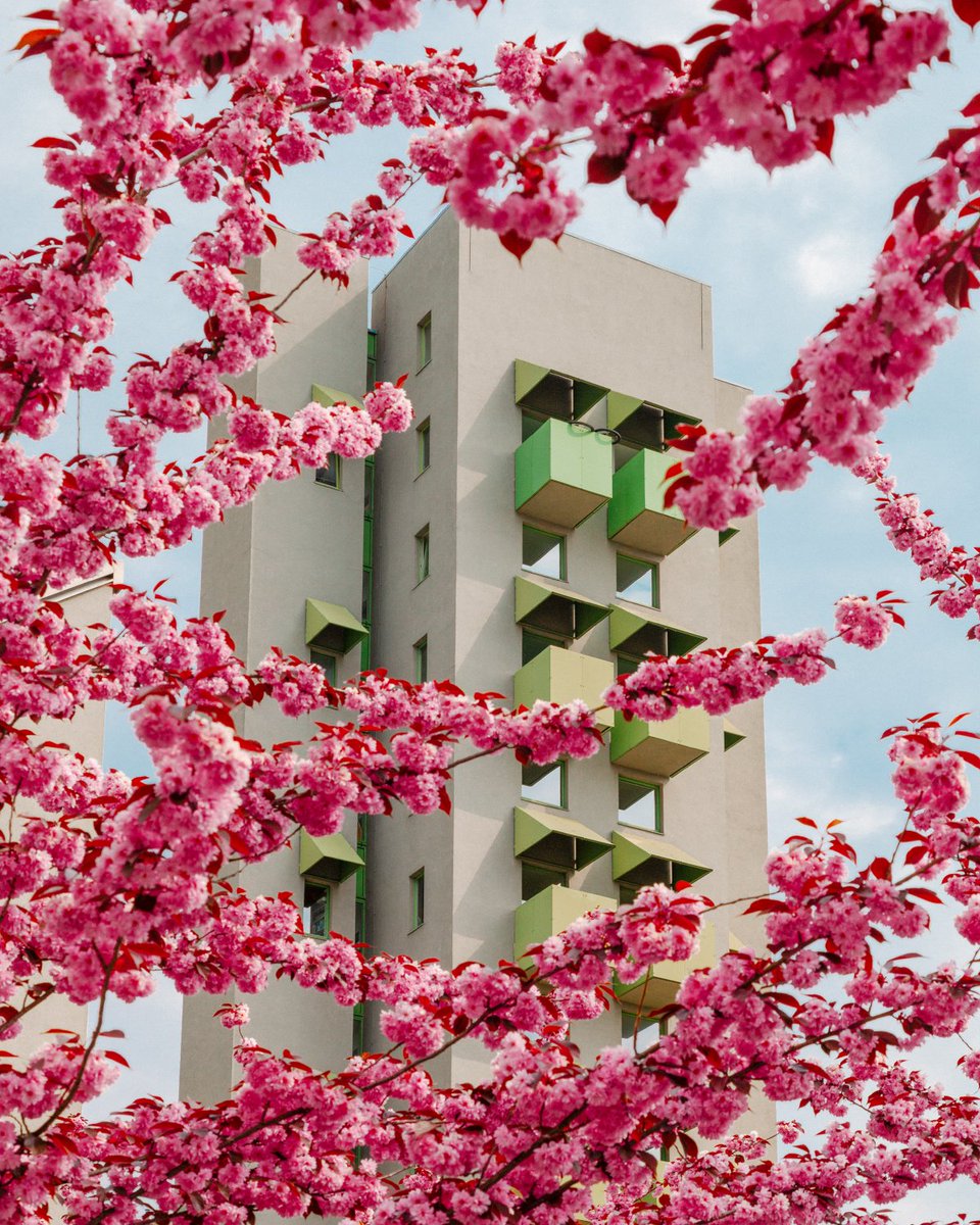 Matthias Heiderich tweet media