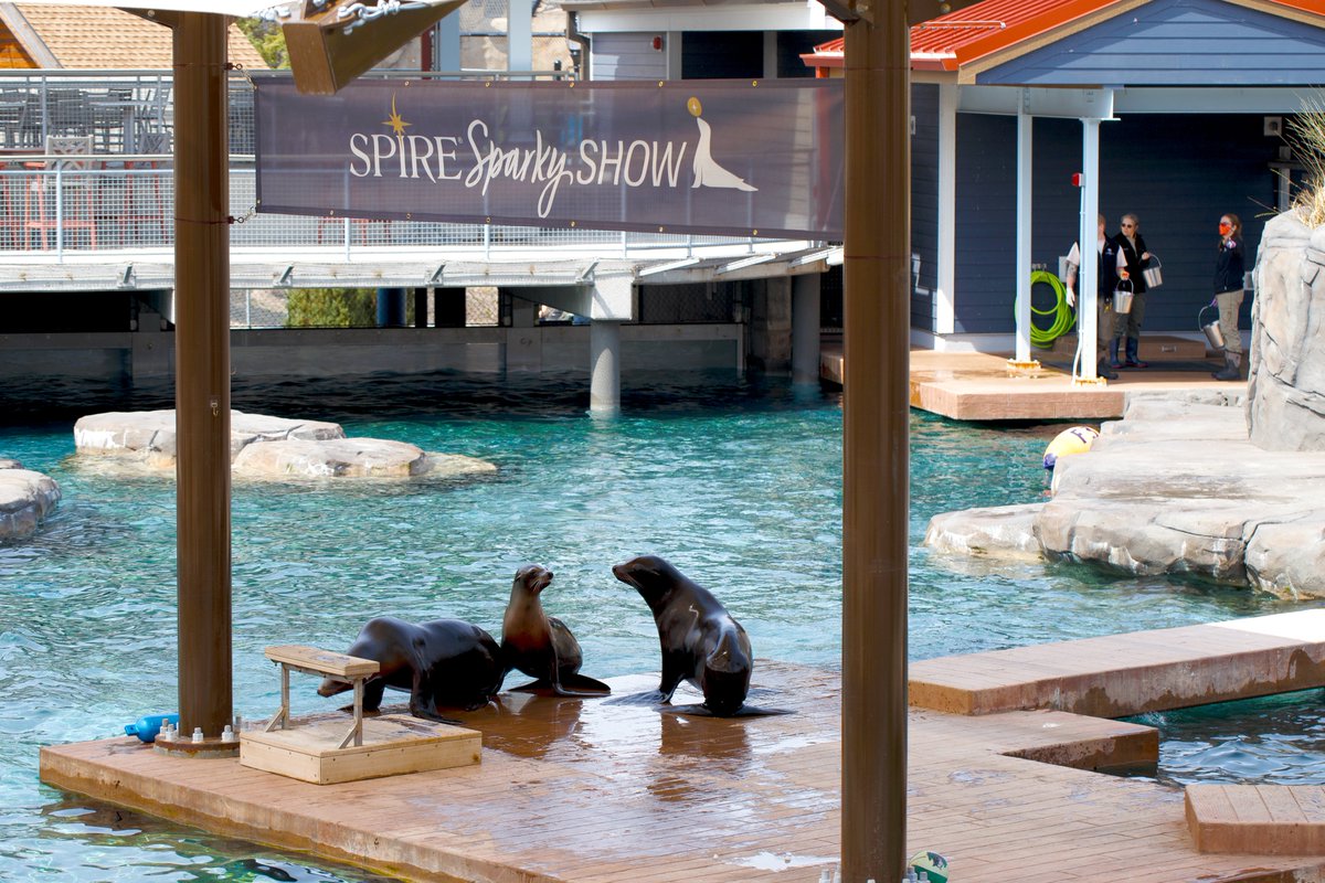 Como Friends tweet media