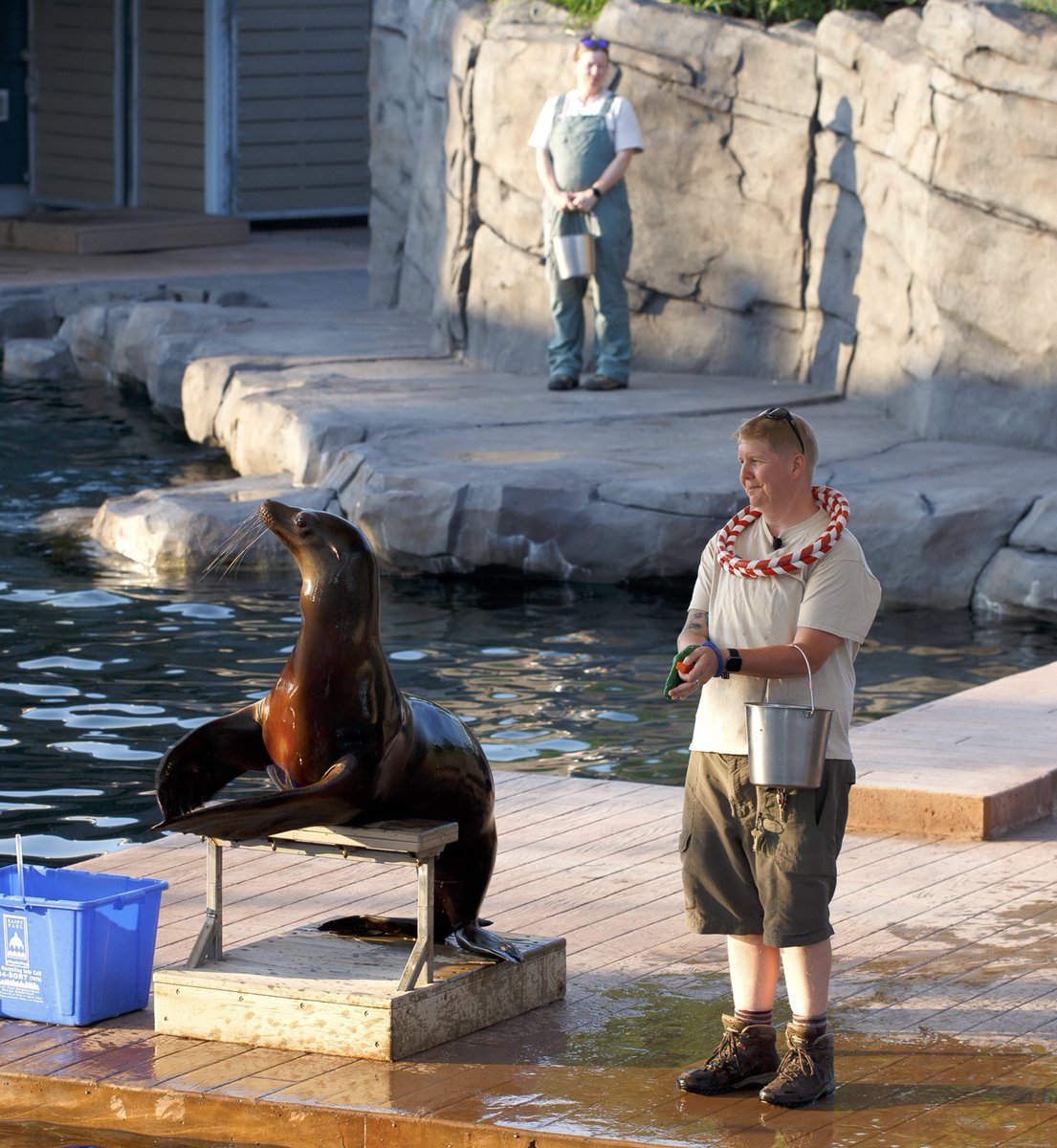 Como Friends tweet media