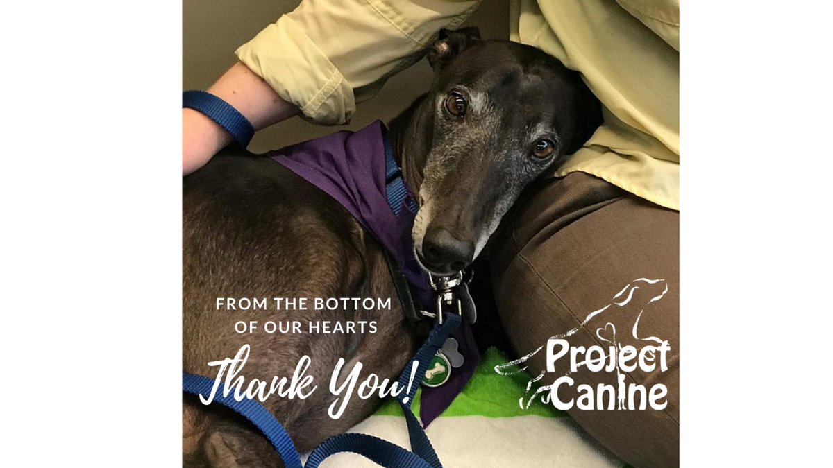 We are SO GRATEFUL for all the support we received during <a href="/WAGives/">Washington Gives</a> Our community is the BEST!! And we look forward to having all the dogs back visiting soon!
#seattledogs #therapydogs #fundraising #wagives #givebig