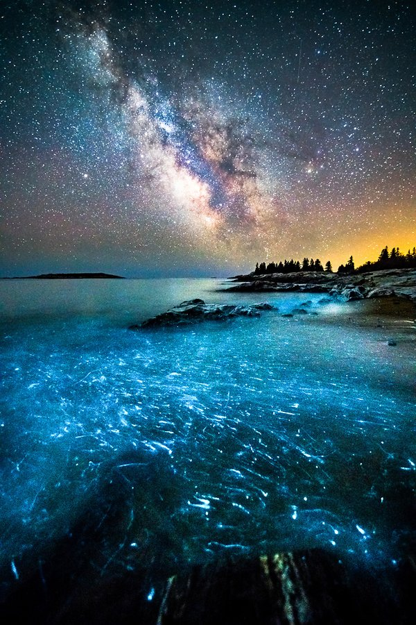 Milky Way over Bioluminescent waves 😲