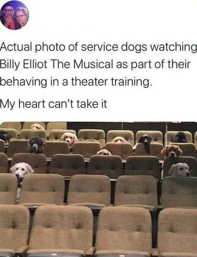 WholesomeMeme's tweet photo. https://t.co/uUgZGPt6dw
