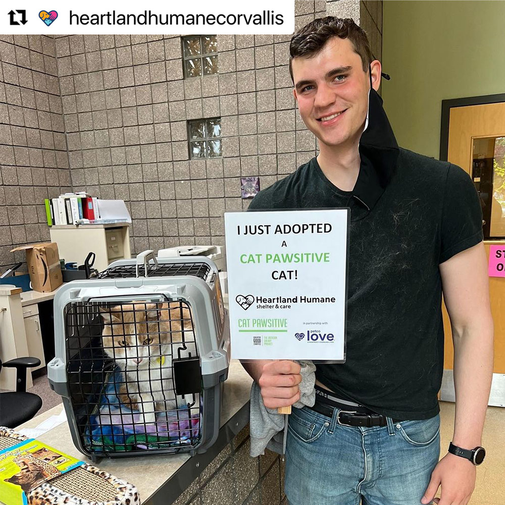 JGalaxyProject's tweet photo. Happy #adoption day to Forrest Gump &amp; his new papa at Heartland Humane! Forrest Gump will be taking his #CatPawsitive training to his forever home. 💚 #whiskerwednesday https://t.co/tMwg1oeMJf