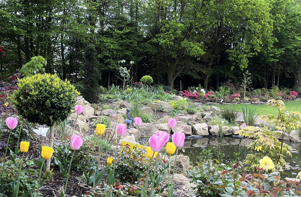 johnbent5's tweet photo. Weeping Ash Garden today https://t.co/JPoIhPI9yg