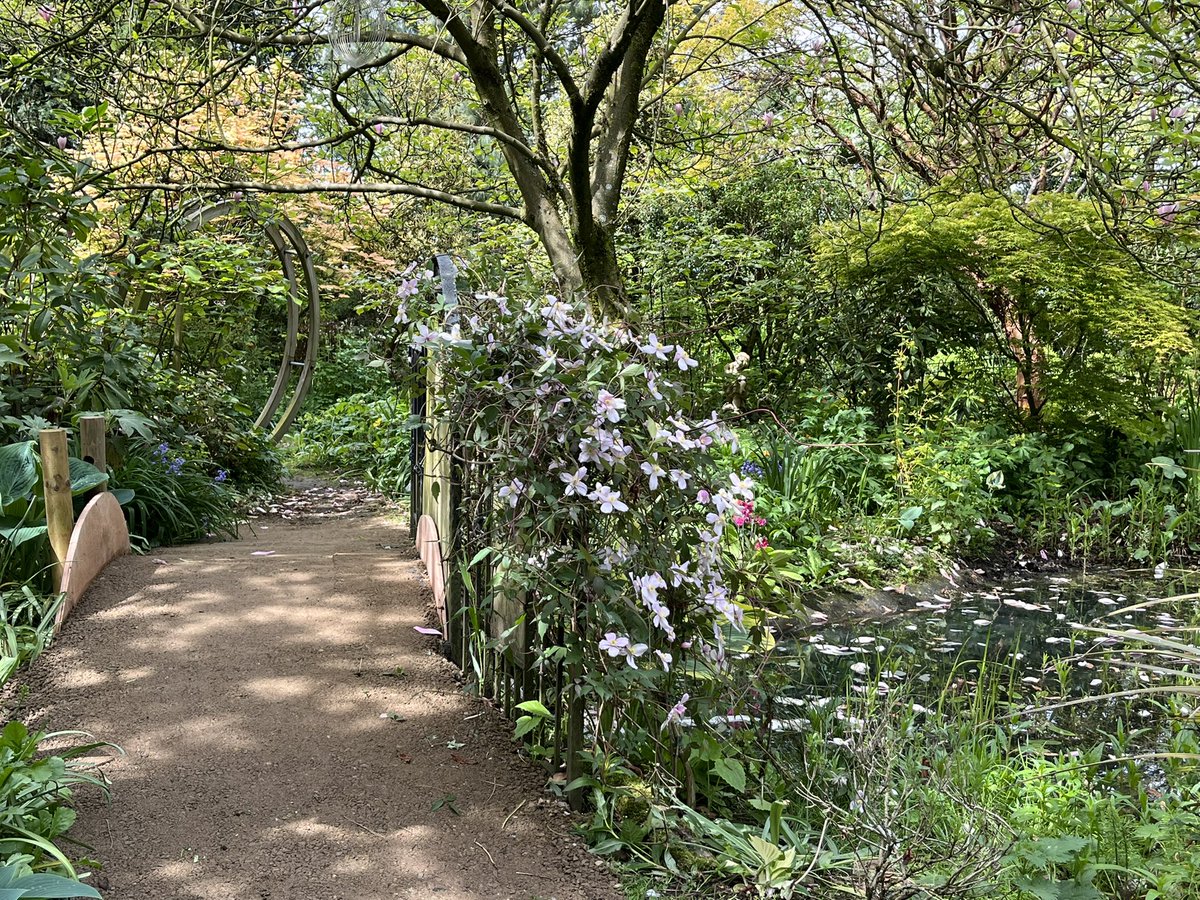 Weeping Ash Garden today