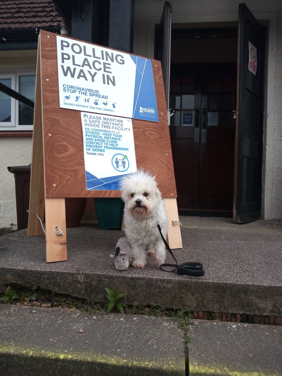 AlanBarton6's tweet photo. It’s a very serious business voting so Polly took her favourite toy Richard to the polls in Troon . #dogsatpollingstations #dogsoftwitter #dogs #Elections2022 #voting #Troon #Scotland https://t.co/GK5XQ4vVC7