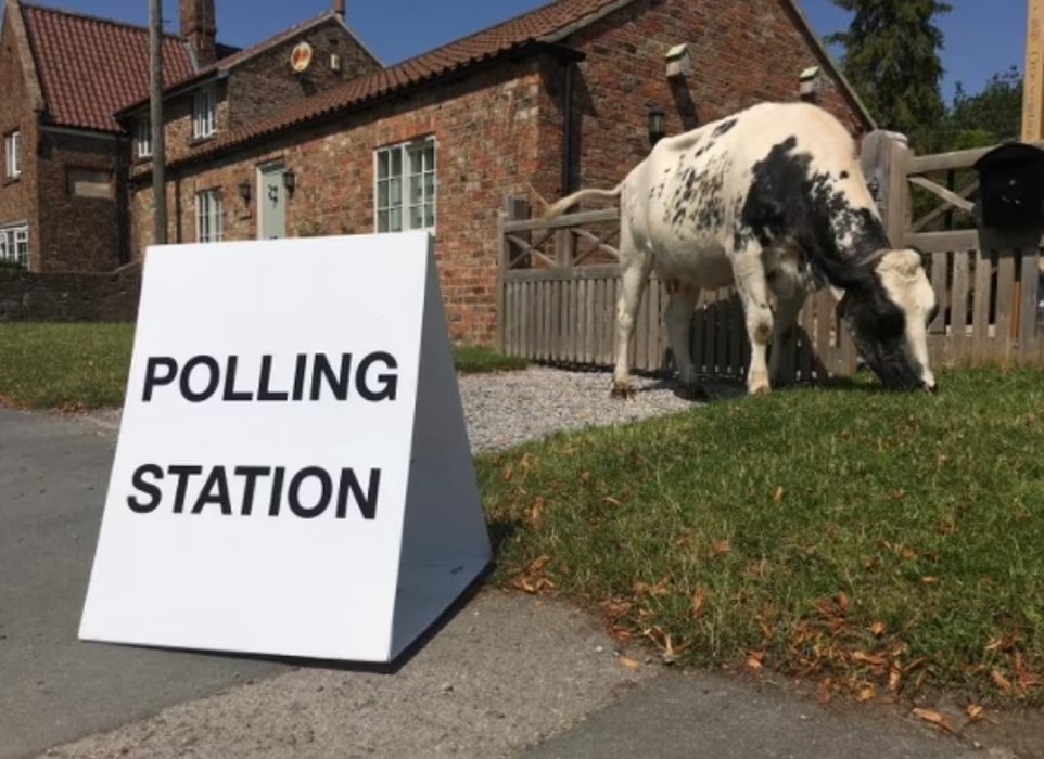 Someone has taken their COW to a polling station trib.al/O8ZD730