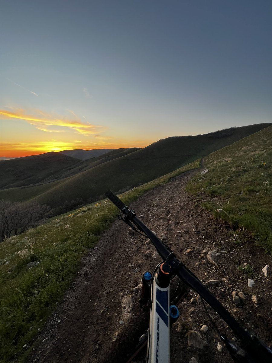 Mark Gustafson tweet media