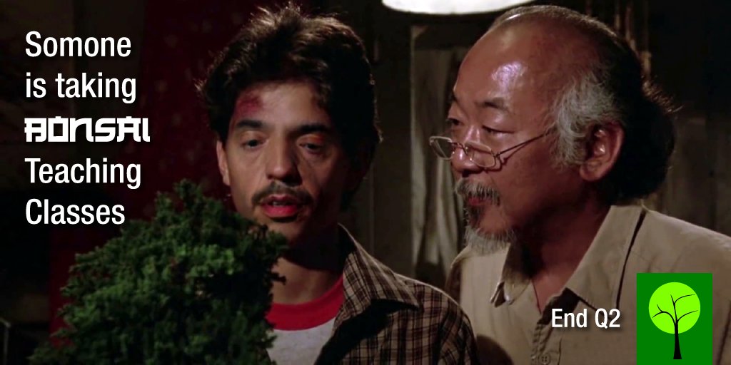 🔥Coming soon🔥
The Bonsai Collection 

▶️1/1 for #CardanoTrees holders

#LFGrow #BabyTrees #Bonsai #Cardano #CNFTCommunity #CNFT #NFT