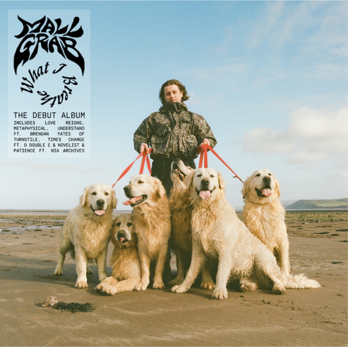 Australian producer Mall Grab teams with Turnstile frontman Brendan Yates for "Understand" off his upcoming debut LP. Listen: brooklynvegan.com/mall-grab-anno…