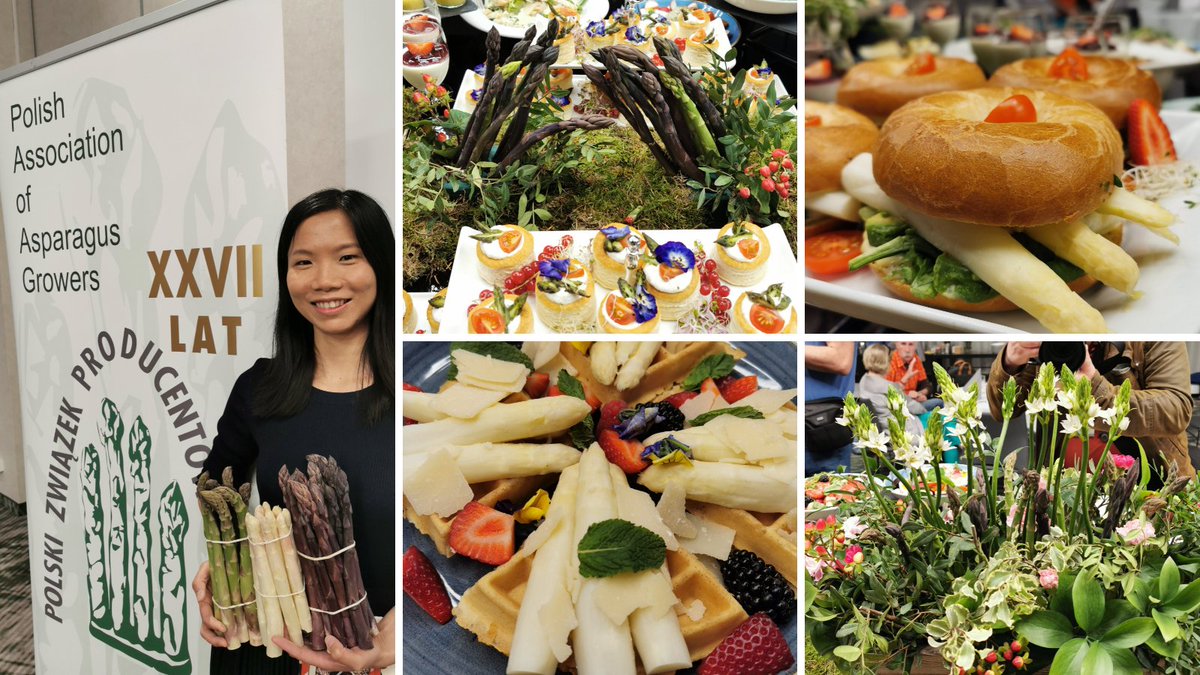 Today, Wenjing from Walker Brothers was invited by the Polish Asparagus Grower Association to the annual asparagus press conference! 🥳

There are about 2500 hectares of asparagus plantations in Poland nowadays, and over 50% of the planting areas are in Greater Poland.

#szparagi
