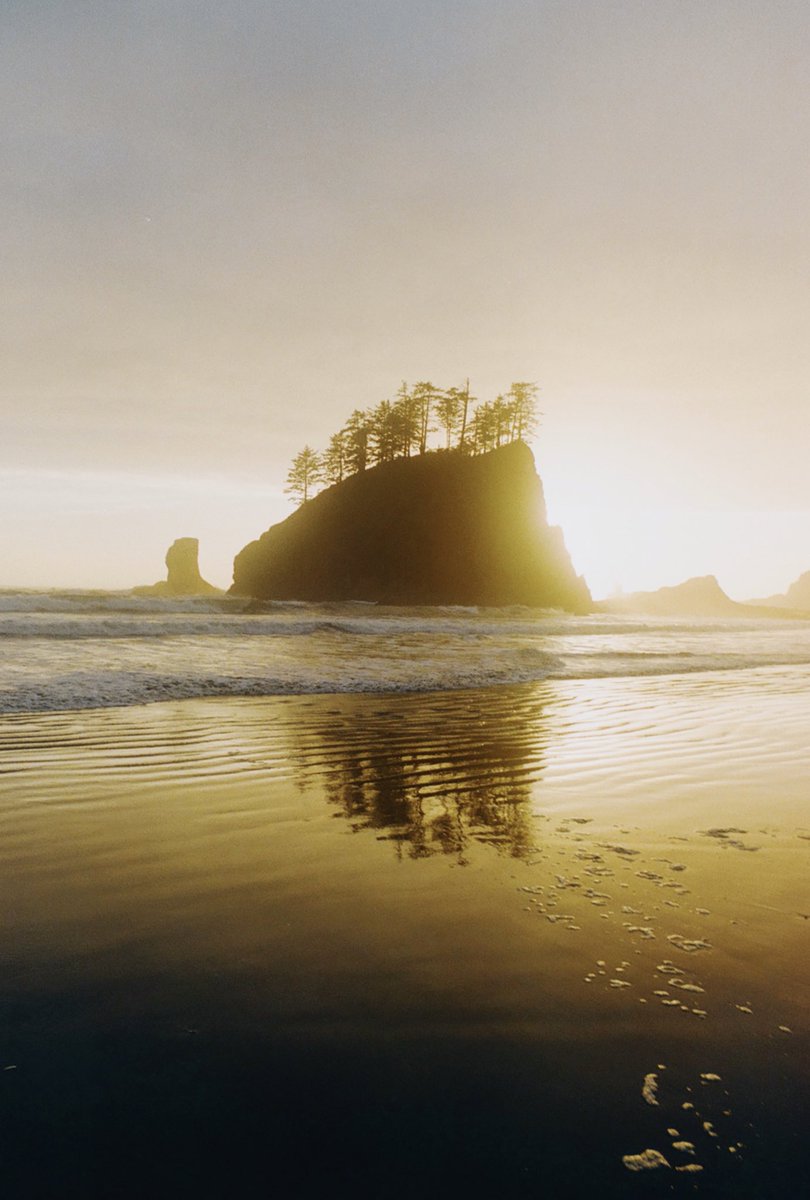 JoseePearlson's tweet photo. Sunset on the Olympic peninsula https://t.co/tYpMjce67v