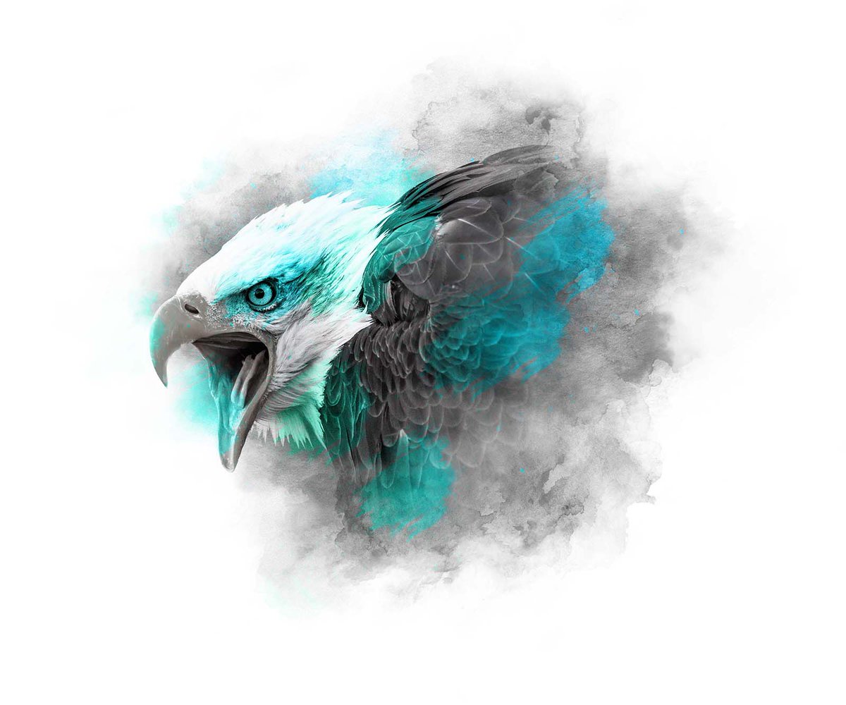 takcnft's tweet photo. 🎉WL GIVEAWAY🎉

1 x WL for The Animal Kingdom Collection MINT SERIES 💚💙

✅Like + Retweet
🏆Follow @Aqomiart + @takcnft 
🎁Tag 3 Frenz

Good luck...Winner in 24 hrs⏳

#NFTGiveaway #NFTartists #TAKC #NFTCommunity #NFTs https://t.co/2l3vDNt8BI