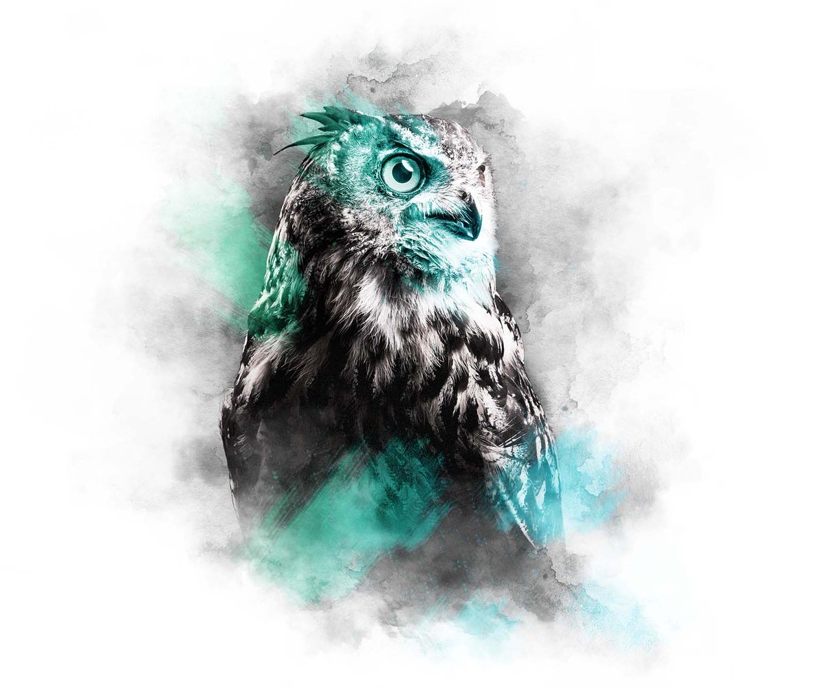 takcnft's tweet photo. 🎉WL GIVEAWAY🎉

1 x WL for The Animal Kingdom Collection MINT SERIES 💚💙

✅Like + Retweet
🏆Follow @Aqomiart + @takcnft 
🎁Tag 3 Frenz

Good luck...Winner in 24 hrs⏳

#NFTGiveaway #NFTartists #TAKC #NFTCommunity #NFTs https://t.co/2l3vDNt8BI