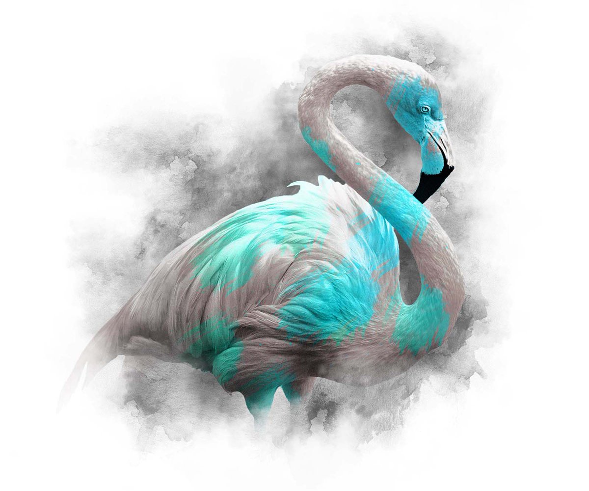 takcnft's tweet photo. 🎉WL GIVEAWAY🎉

1 x WL for The Animal Kingdom Collection MINT SERIES 💚💙

✅Like + Retweet
🏆Follow @Aqomiart + @takcnft 
🎁Tag 3 Frenz

Good luck...Winner in 24 hrs⏳

#NFTGiveaway #NFTartists #TAKC #NFTCommunity #NFTs https://t.co/2l3vDNt8BI