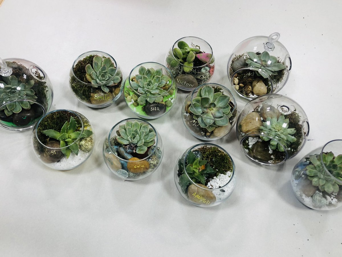 CHS CHAT tweet media