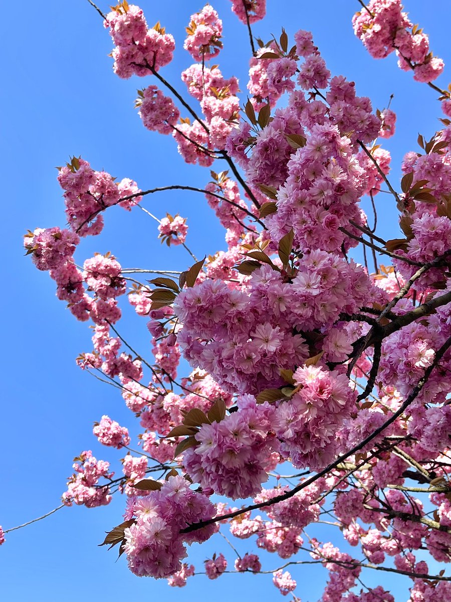 MelaniePodolyak's tweet image. Не передати.