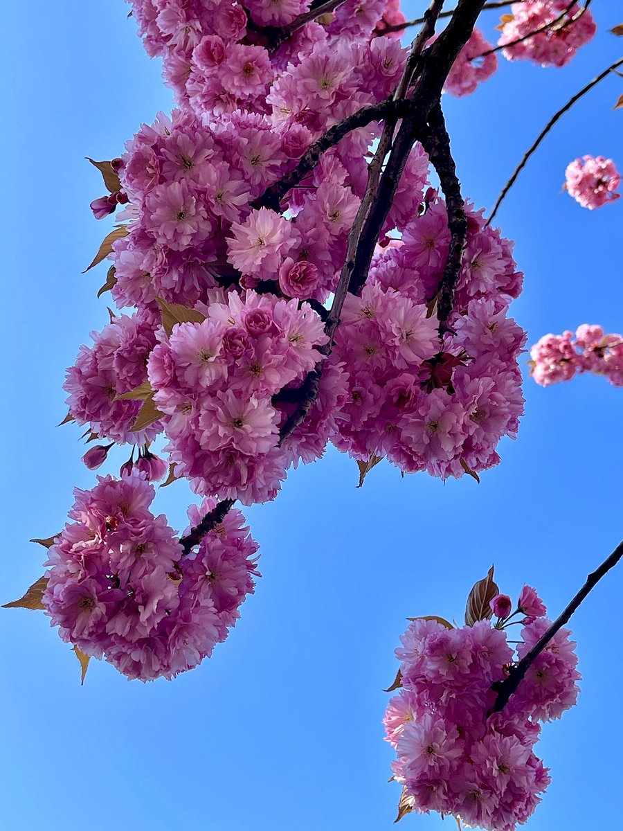 MelaniePodolyak's tweet image. Не передати.