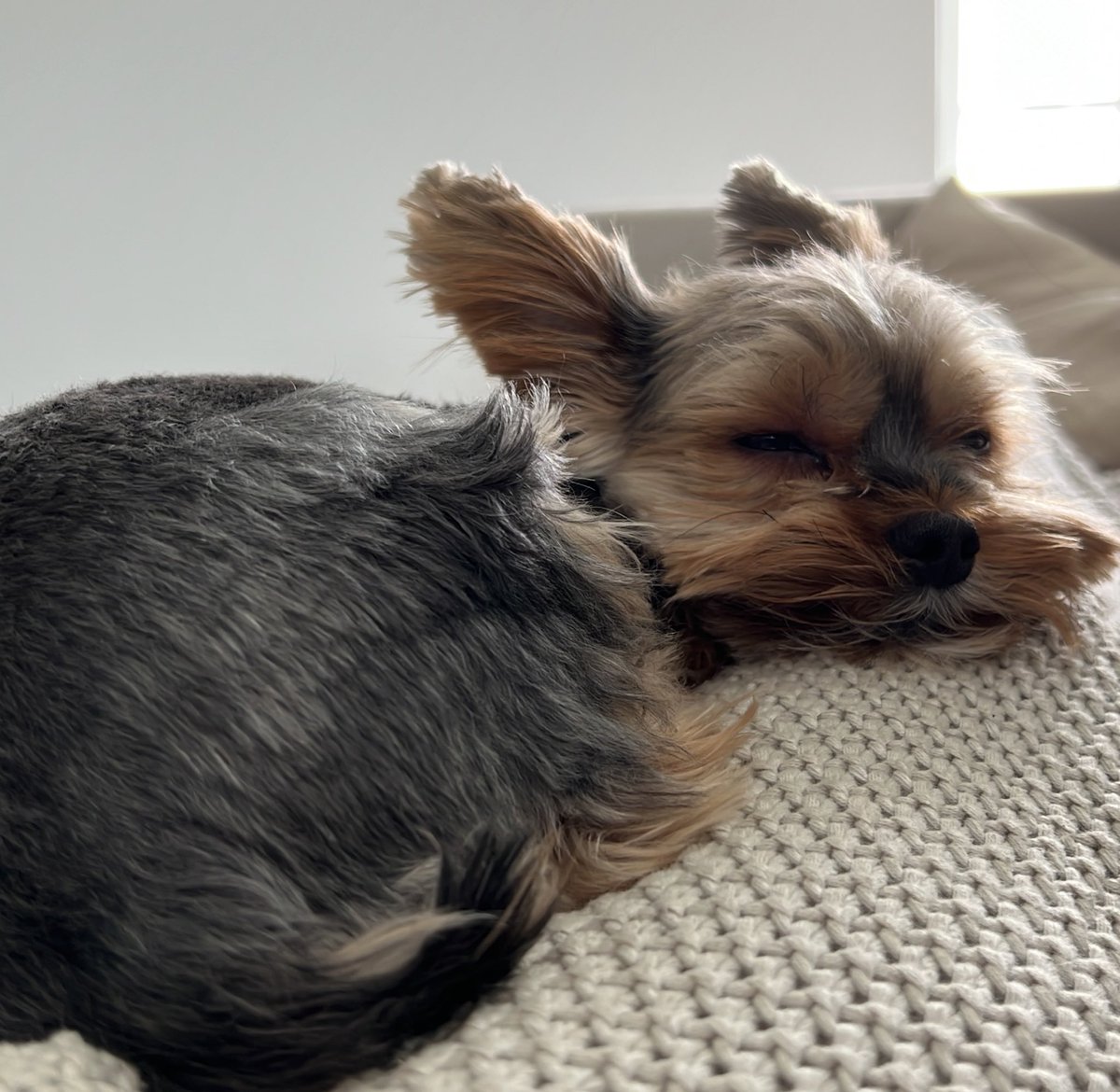 Everyone is excited for @overwatchleague to start but <a href="/HugoBark_/">Hugo Bark</a> , it means I have to get up but the people need beta drops