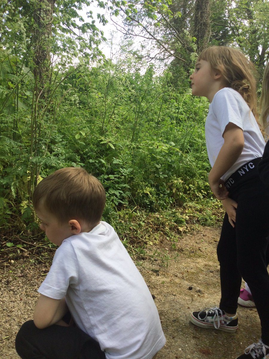 gfprimarycov's tweet image. Reception have enjoyed exploring the woods today. We noticed lots of changes since we last went for a walk! 🔍👀🌳🌱🌿 #GFReception #springwalk