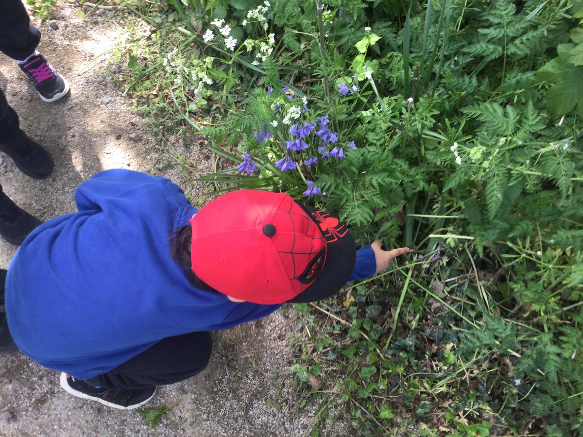 gfprimarycov's tweet image. Reception have enjoyed exploring the woods today. We noticed lots of changes since we last went for a walk! 🔍👀🌳🌱🌿 #GFReception #springwalk