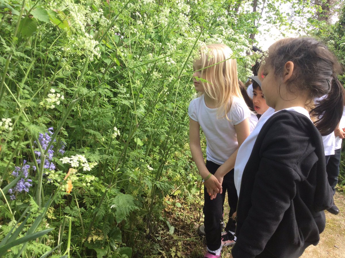 gfprimarycov's tweet image. Reception have enjoyed exploring the woods today. We noticed lots of changes since we last went for a walk! 🔍👀🌳🌱🌿 #GFReception #springwalk