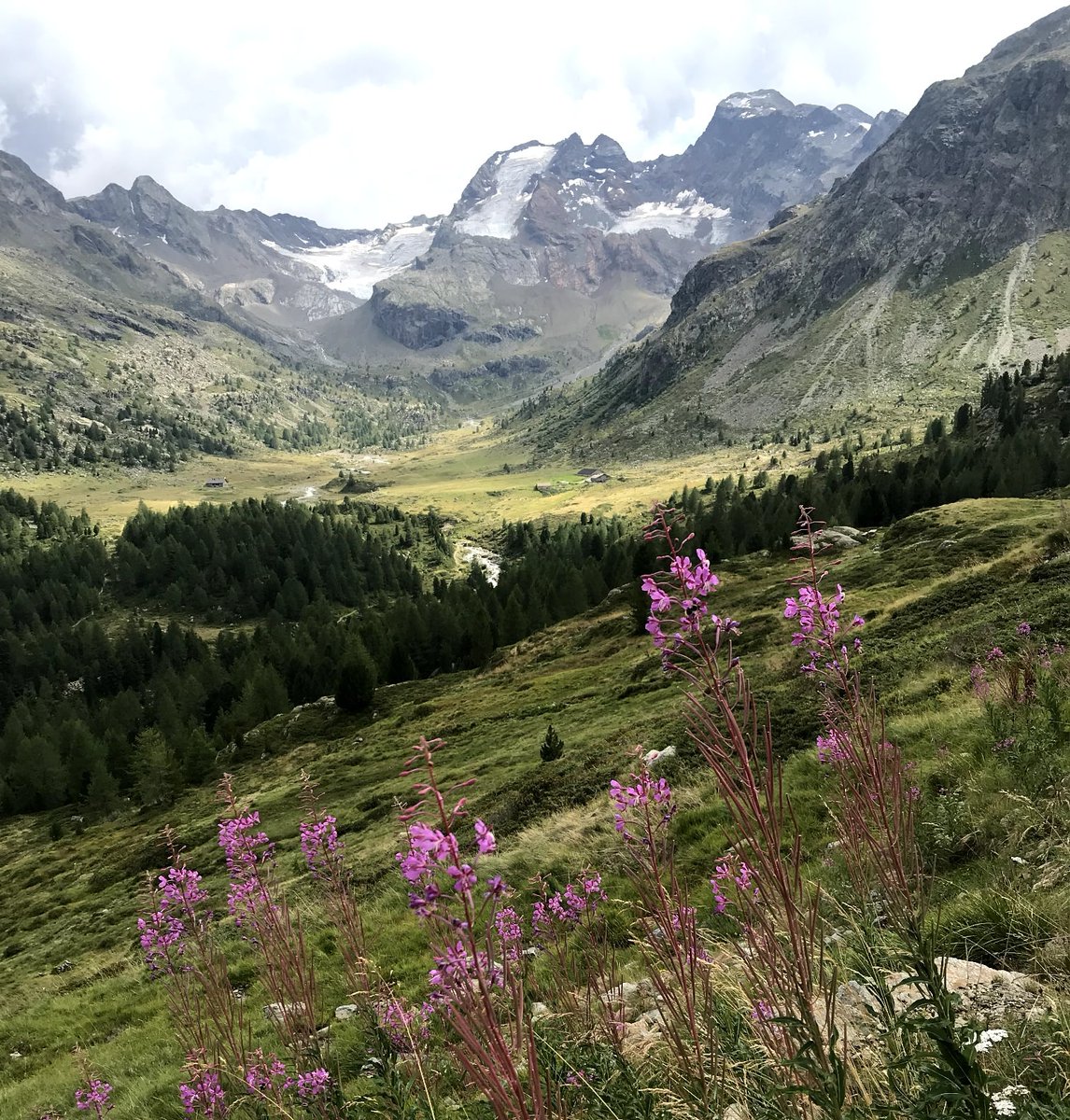 MenottiOfficial's tweet photo. Ci sono Montagne che ti restano nel cuore, ci puoi tornare e ritornare, ma non smetteranno mai di emozionarti ❤️

#valtellina #valverva #Lombardia #mountain #montagna #alpi https://t.co/sCs20jUyVZ