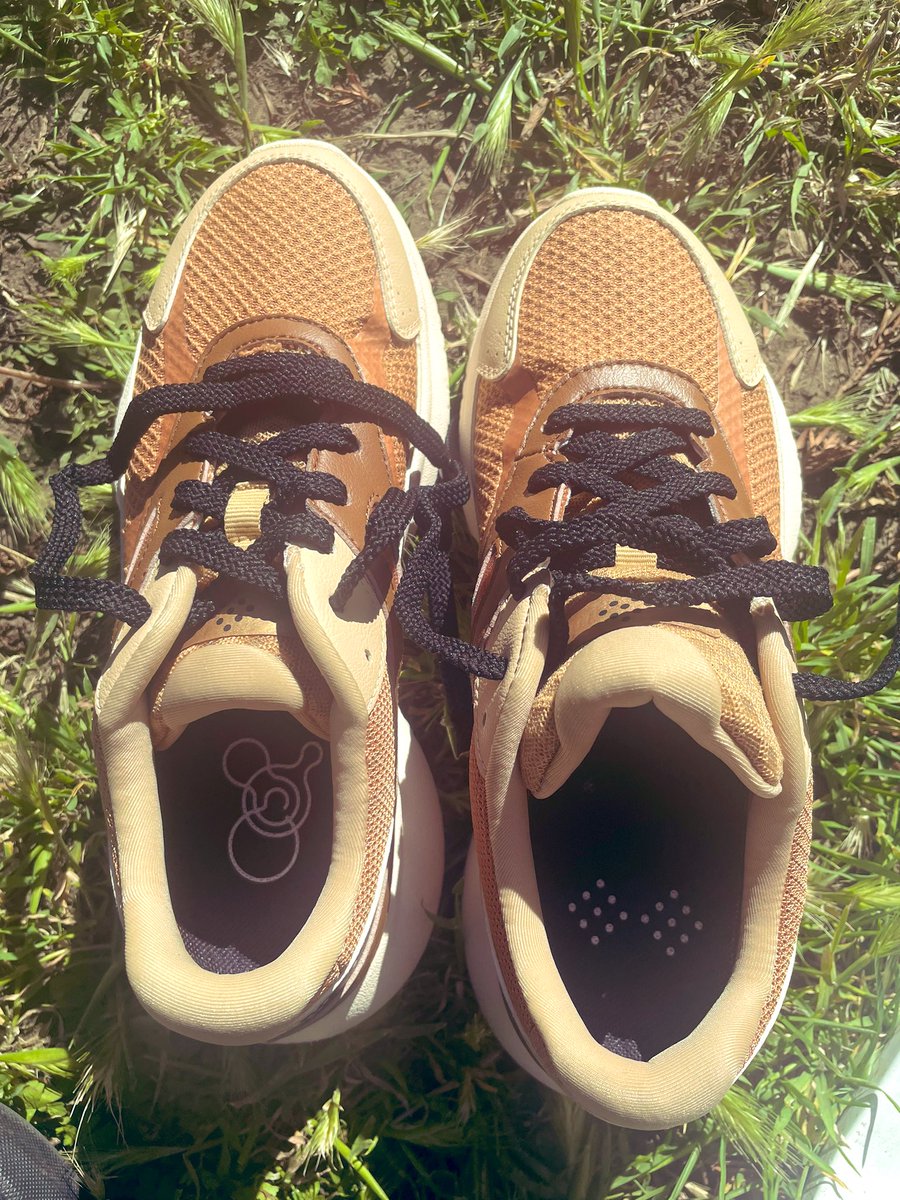 Sunanna Tara Chand tweet media