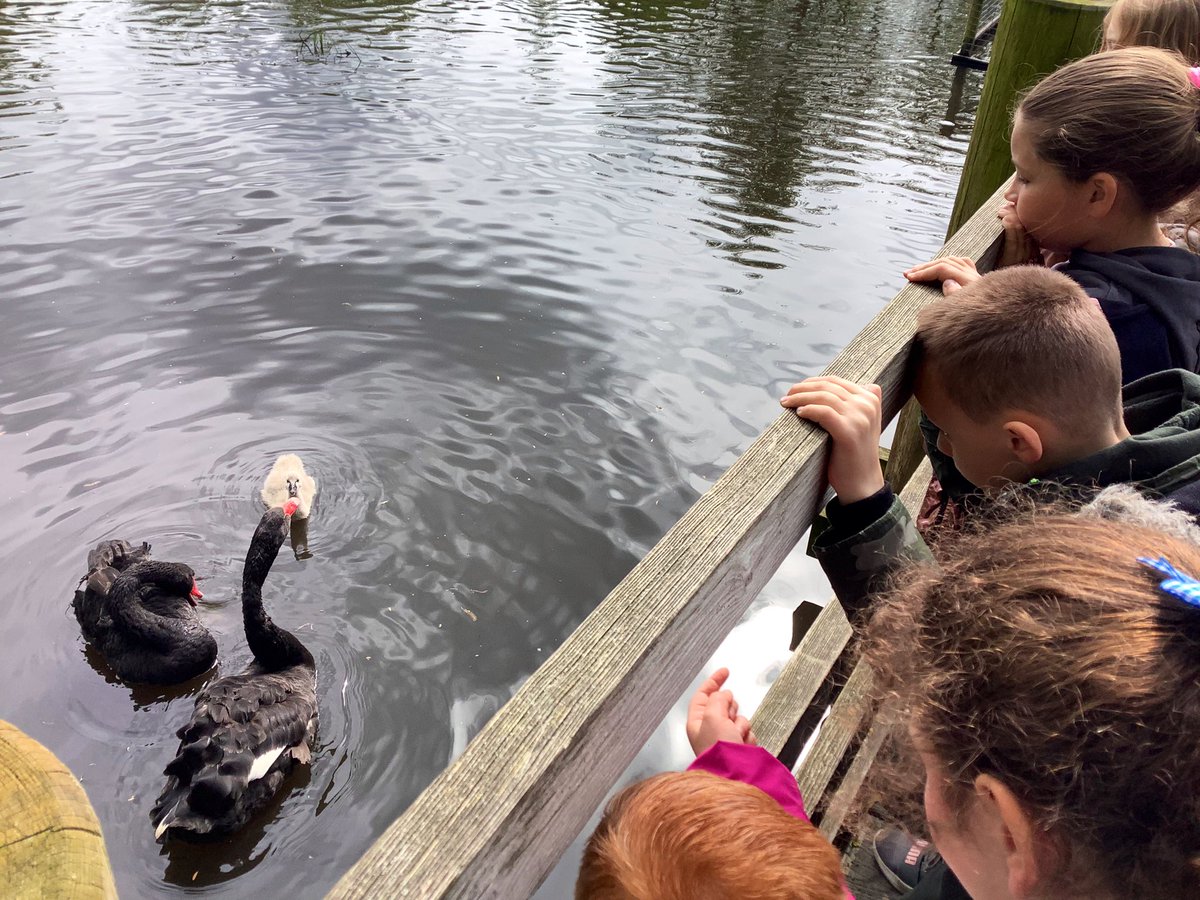 Miss Brussels tweet media