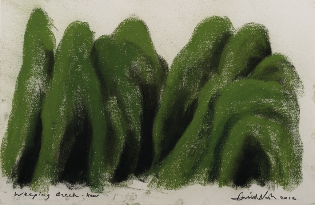 LAST MONTH TO SEE: David Nash, Full Circle, until 5 Jun 2022.

Exploring David Nash's long-standing association with YSP, Full Circle presents a series of the artist's drawings inspired by trees. 
🔗 bit.ly/DavidNashFullC…

David Nash, Weeping Beech, Kew 3, 2012 
📷 <a href="/JontyWilde/">Jonty Wilde</a>