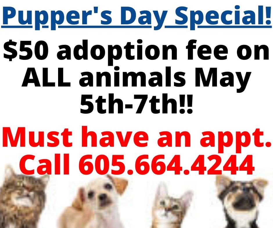 HeartlandPaws's tweet photo. ***Pupper's Day Special***

ALL animals, available for adoption, have an adoption fee of $50 Today, May 5th through Saturday, May 7th!!

You MUST have an appointment, so give us a call at 605.664.4244 to schedule it now.

Check out our available pets: https://t.co/G5rNqKrqr0 https://t.co/5B4L7Hhnzo