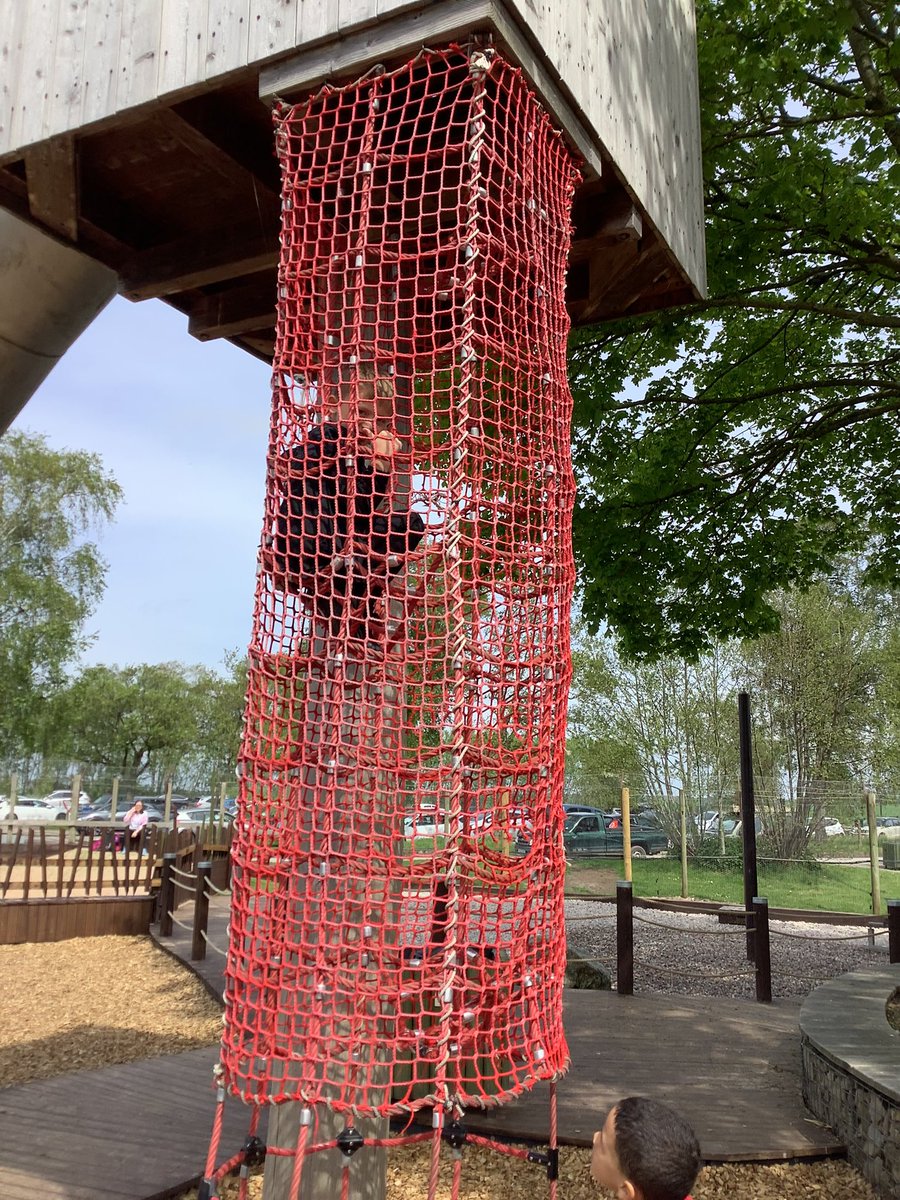 Miss Brussels tweet media