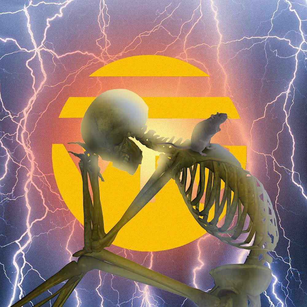 skeletoncrewrip's tweet photo. Today we’re pairing drops from @iiiso_wassup and @YELLOWTRASHCAN_ to finish out our week of @ParagonNft art!

Going live now at:
https://t.co/8OIOZpUaRn https://t.co/4dN8th7GA0