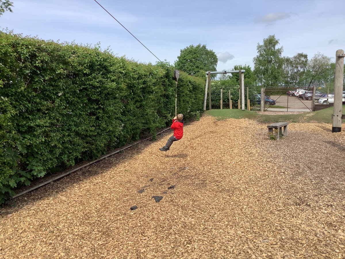 Miss Brussels tweet media