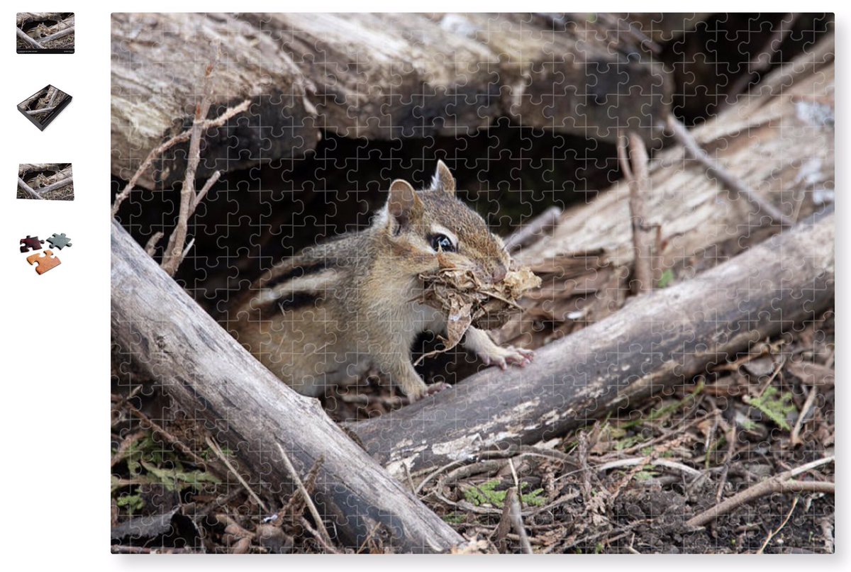 SnellingsLieve's tweet photo. You just found an amazing #puzzle for your friend, a #sqirrel or #Chipmunk lover.
Fiston the chipmunk is a character in the #ChildrensBooks, #picturebook series ‘Margot the #groundhog and her Nord American squirrel family’. https://t.co/q3xhzDPCy1
#kidlit
https://t.co/fOoJCx68fm https://t.co/UDRK3cU69K