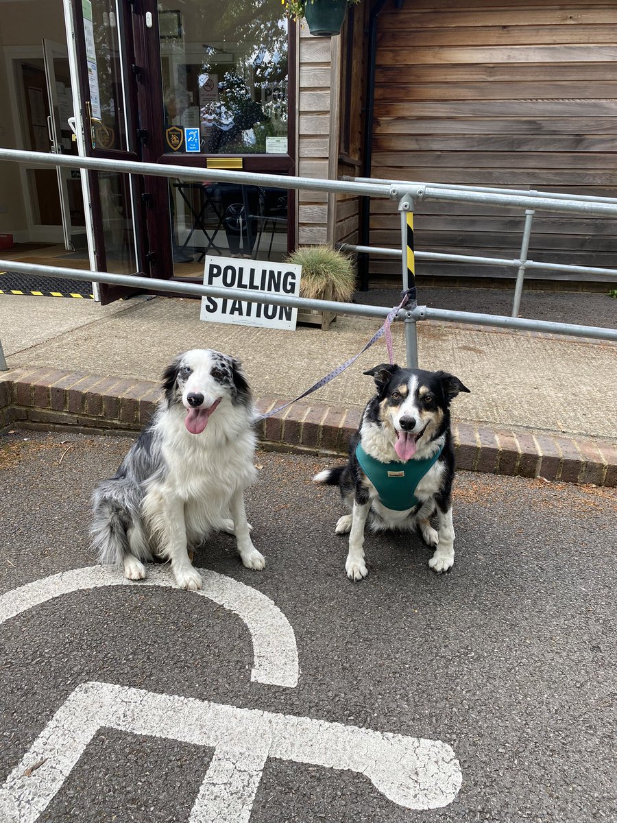 maggie_treanor's tweet photo. #zebandflo #dogsatpollingstations https://t.co/ijNRTW7Rxz