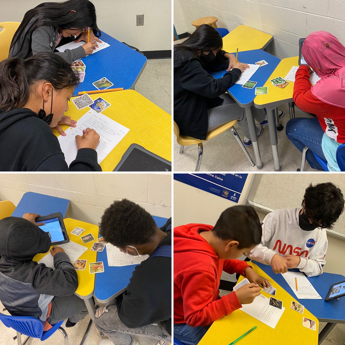 Check out these students in Mr. V’s 6th grade ESL class at <a href="/Newburg_JCPS/">Newburg Middle School</a> using <a href="/playouisi/">OuiSi</a> to write short short stories together! #JCPSESL 

What a fun and educational way to get students 📖, ✍️, 🗣, and👂during the last period of the day before a long Derby weekend 🐎