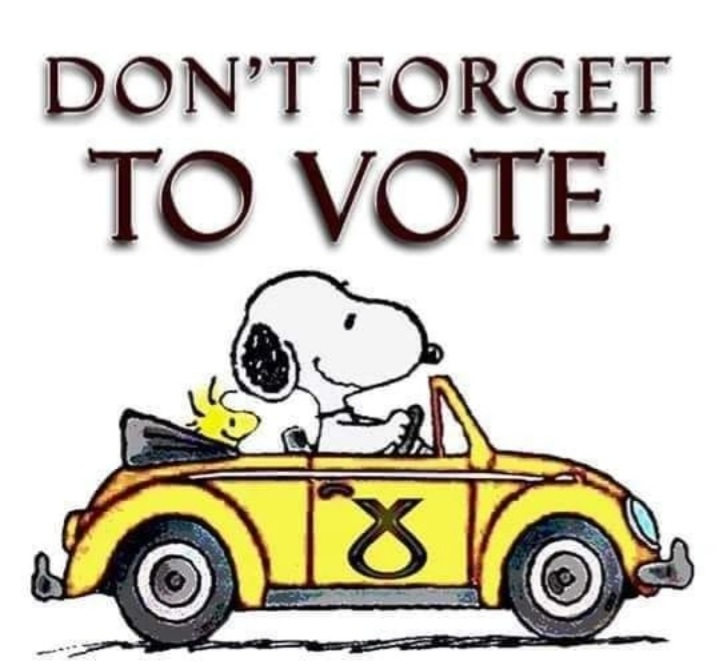 annethomassnp's tweet photo. Vote SNP 1 &amp; 2 https://t.co/58d8GLqAP5