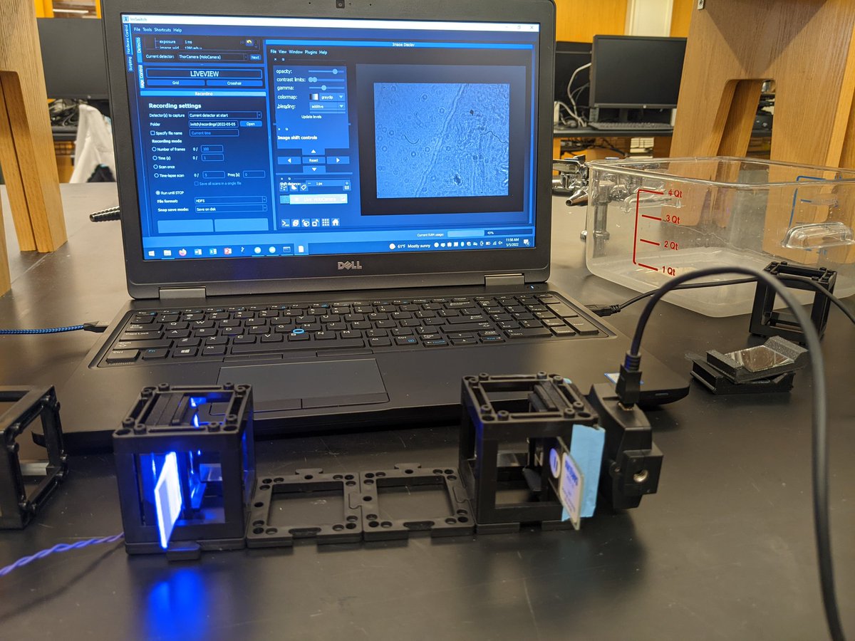 abhishekworld's tweet image. Built a Holographic microscope using #UC2 blocks and #imswitch @OpenUc2 #AQLM2022 #openmicroscope #openscience @xaviercasasm