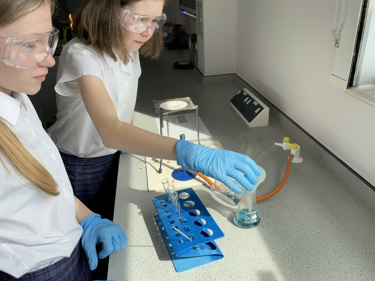 STEM_THS's tweet photo. This week in STEM club students made their own indicator solution using red cabbage!🌈 🧪 @turinghouse https://t.co/eMO44DugjH