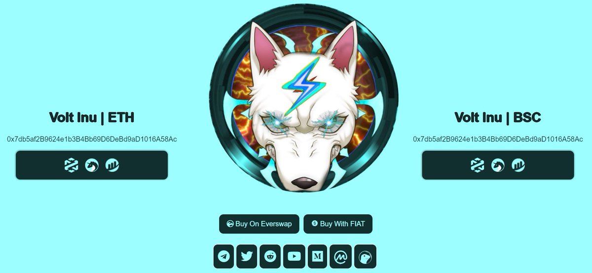 On top of the 16 CEXs and several DEXs where #VOLT is listed on, you can now purchase $VOLT with fiat by using your credit or debit card 💸⚡️⚡️

#VOLTINU is just starting to go mainstream 🚀
