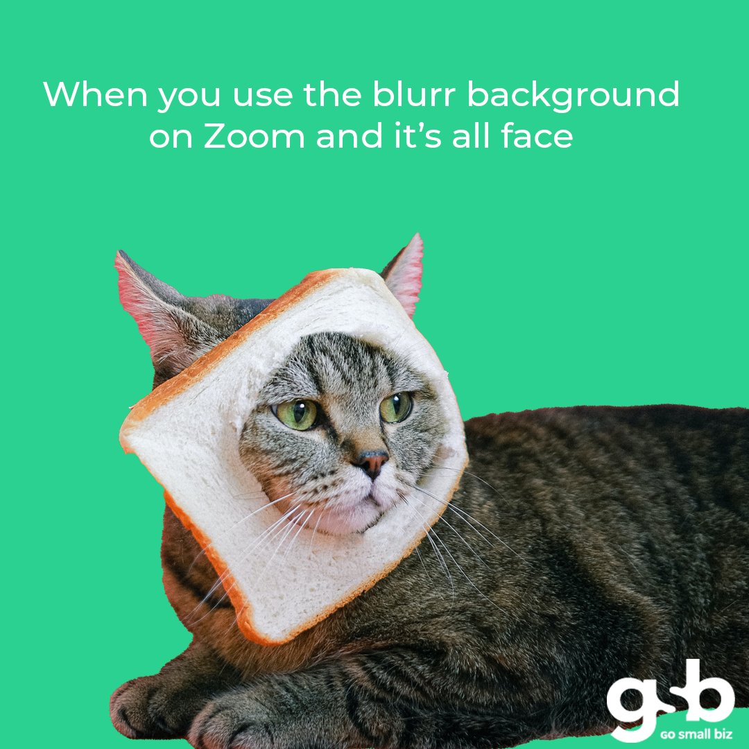 Gosmallbiz It S Almost Friday What Re Your Zoom Meeting Hacks Leave A Comment T Co Yosg6gnmgw Twitter