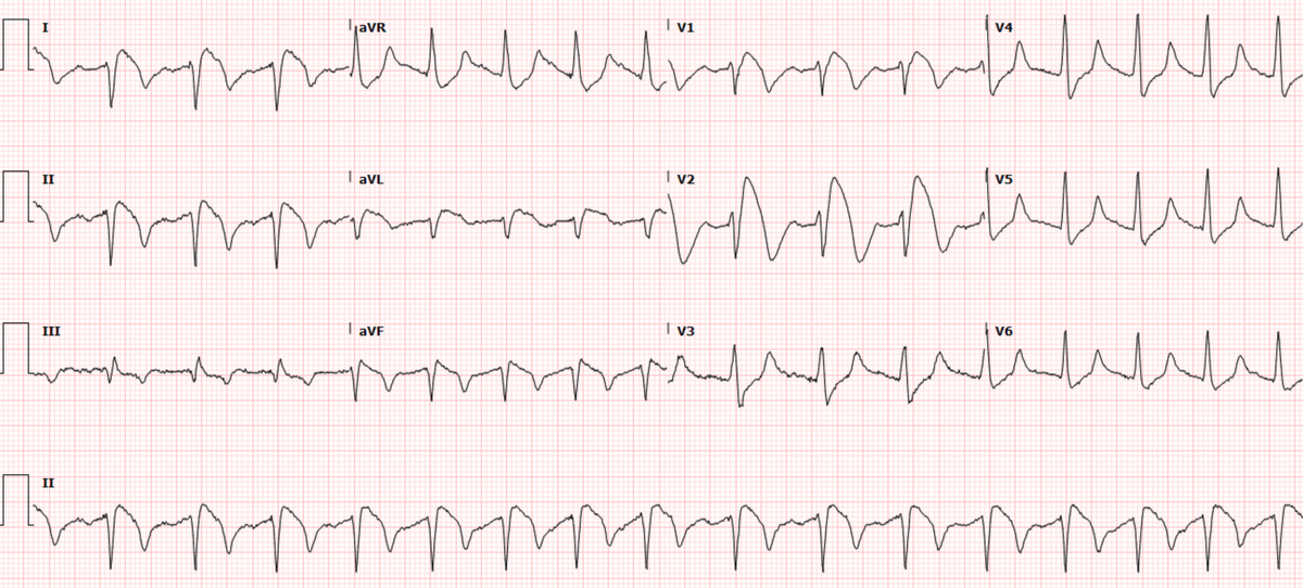 Stephen W. Smith tweet media