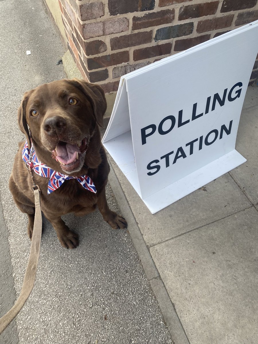 Laura Davidson-Dean tweet media