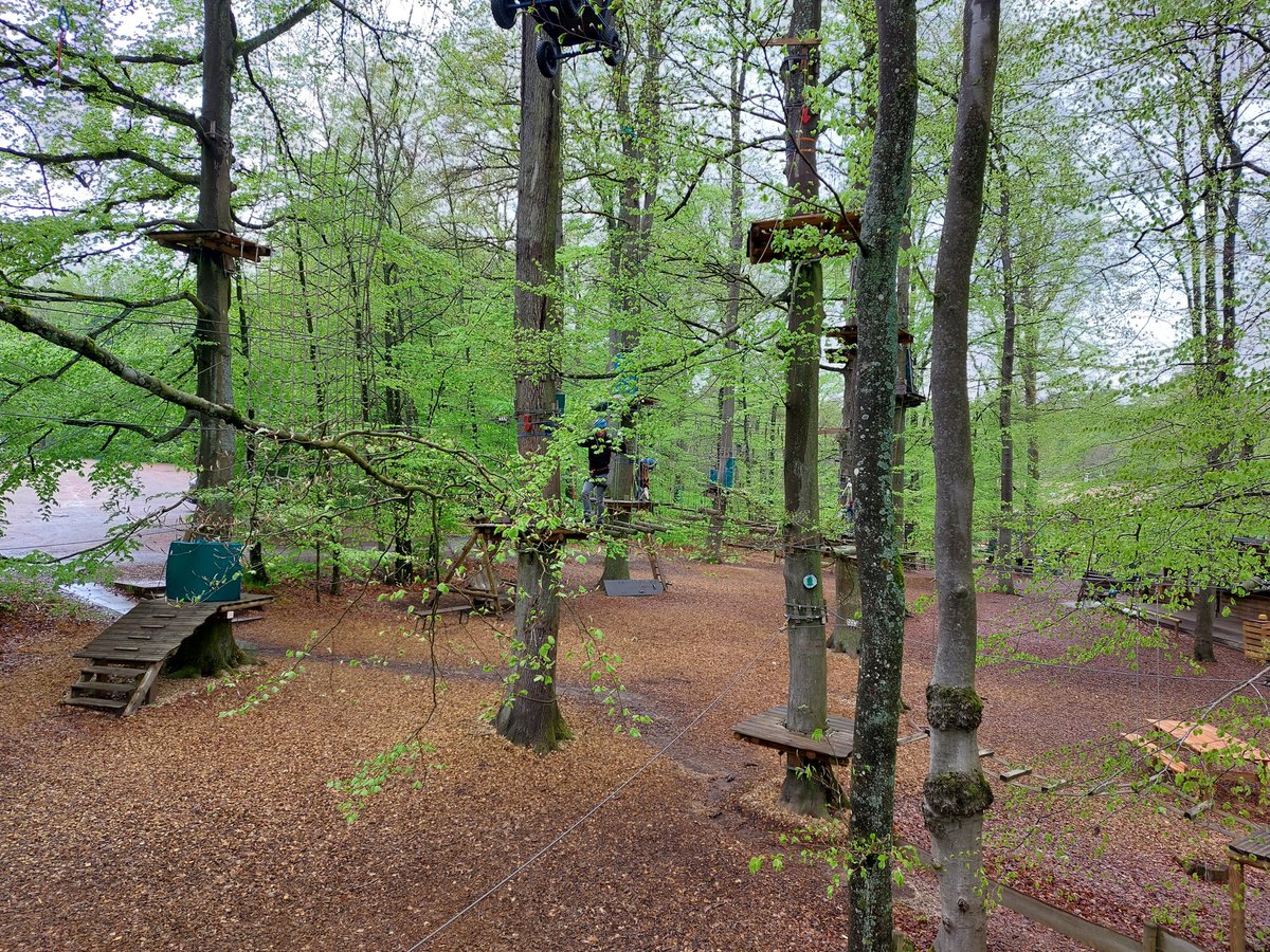 Ready to go climbing! #funforest <a href="/CokajErgys/">Ergys Çokaj</a> <a href="/martinastavole/">martinastavole</a> <a href="/deni95_/">Denise Tumiotto</a> @AndreaLtwit <a href="/indrapatil_07/">Indrajeet Patil</a> <a href="/KonstantinaNtar/">Konstantina Ntarladima</a> <a href="/DavideManfredo/">DavideManfredo</a>