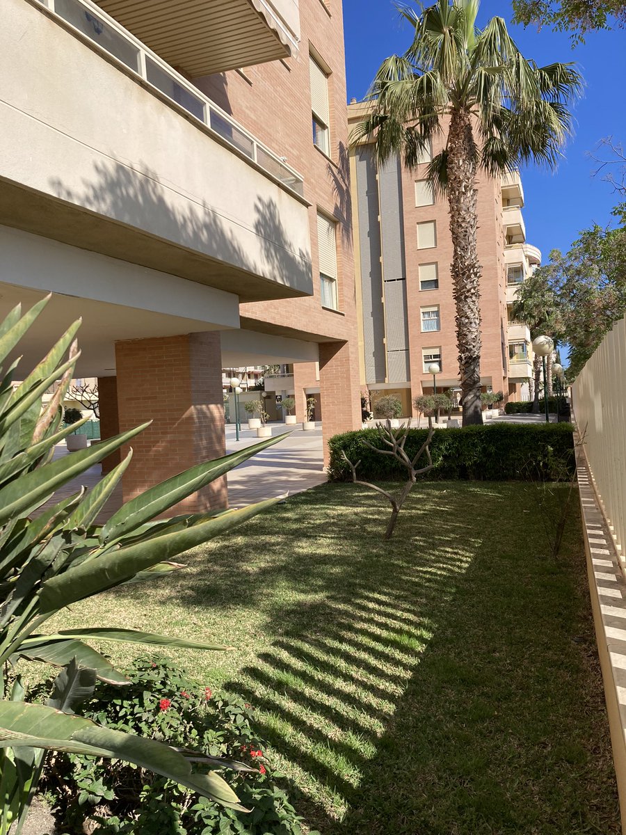 leonard_muha's tweet photo. Ce țeapă și cu spaniolii ăștia, în loc să mai facă un bloc între cele trei existente au lăsat spațiu, au pus băncuțe și plante și au adăugat o piscină si un teren de padel.
#flyeri https://t.co/SWTxv5o5ua