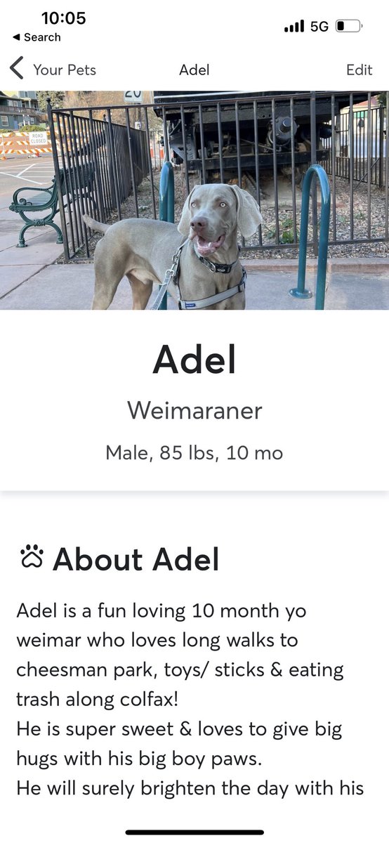 cup_of_jo970's tweet photo. my dogs rover profile looks like he’s beating me on hinge. https://t.co/jsrlmAXu7L