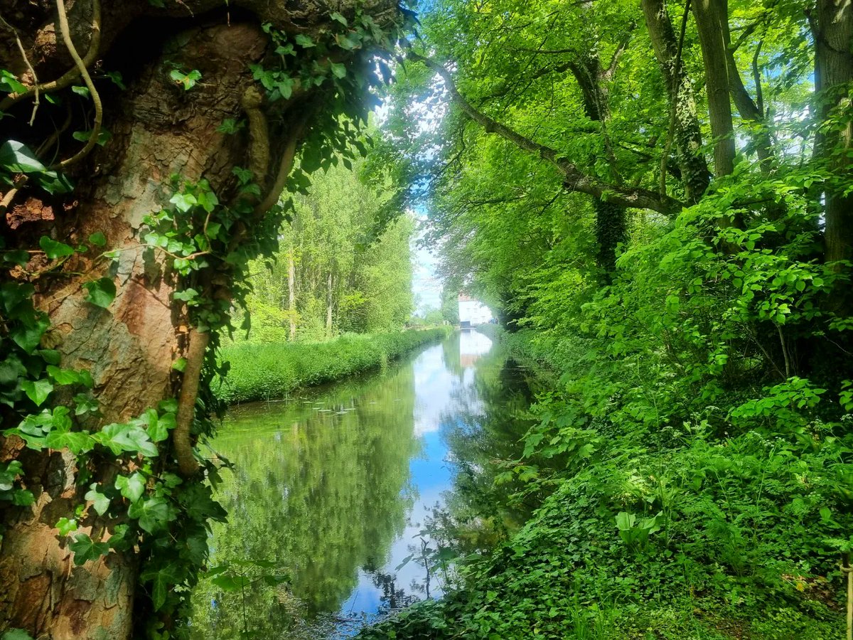 KimBCrisp's tweet photo. Lovely walk today @AngleseyAbbeyNT @nationaltrust https://t.co/of4SjxmfTG