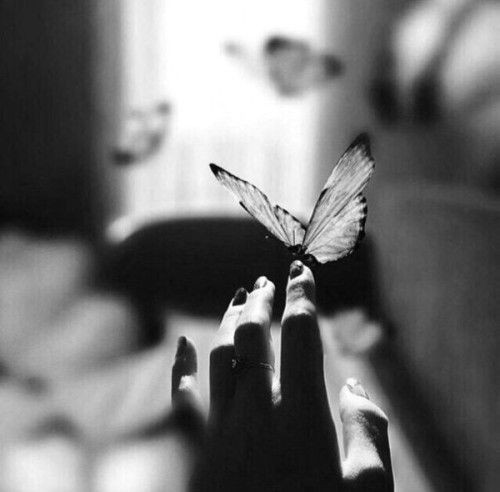 I whispered
To the butterflies
Secrets of us
I left my words
On fragile wings
Carried by the wind
To deliver my heart