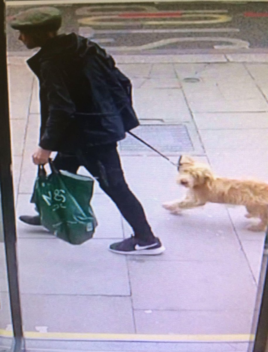 SAMPAuk_'s tweet photo. Our puppy has just been stolen infront of WHSmith on #Finchley Road #London 
I’m adding images in case anyone is around and seen him 
The puppy is 4 months old and his name is Cooper 
Thank you very much in advance https://t.co/6iAvmnl6L1 #DogTheft #DogAbduction #PetTheftReform https://t.co/rTROmJkE0k
